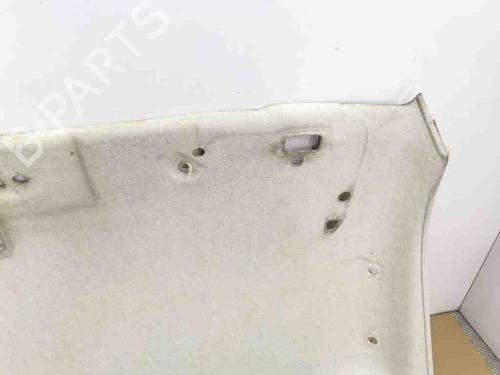 Interior roof FIAT DUCATO Van (250_) 150 Multijet 2,3 D | BP29054394I12