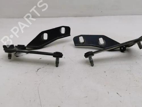 Hinge/Door check strap FORD C-MAX (DM2) 2.0 TDCi | BP28843112C146 