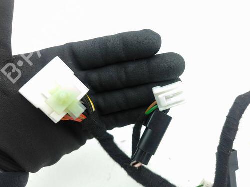 Wiring harness MASERATI QUATTROPORTE V 4.2 | BP29812978E16 