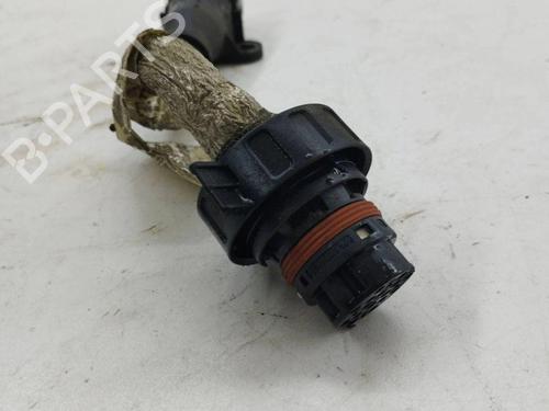 Wiring harness MASERATI QUATTROPORTE V 4.2 | BP28876808E16 