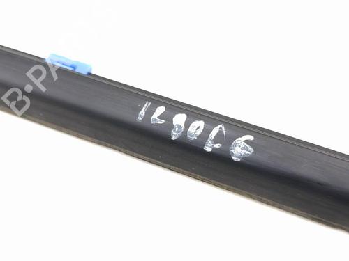 Door moulding trim KIA NIRO I (DE) E-NIRO | BP29638666C150 