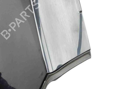 Tailgate trim LAND ROVER RANGE ROVER EVOQUE (L538) 2.2 D 4x4 | BP28879069C151 