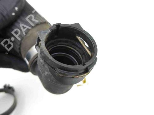Pipe ALFA ROMEO GIULIA (952_) 2.0 (952ACA25) | BP28883120M125 