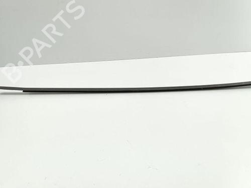 Used Door moulding trim PEUGEOT 407 Coupe (6C_) 2.0 HDi (136 hp) 28842086