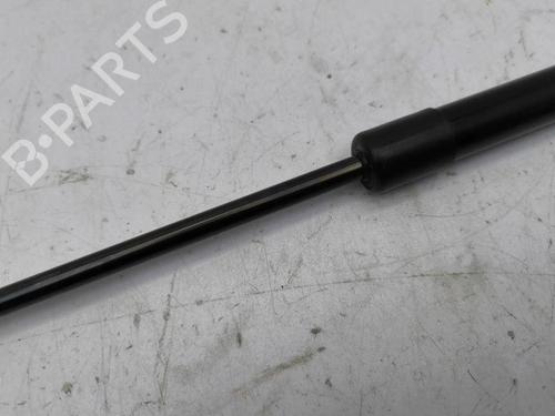 Hood lift support AUDI A3 Sportback (8VA, 8VF) 1.0 TFSI | BP28899991C139 