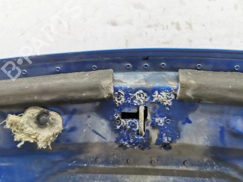 Hood PEUGEOT 308 I (4A_, 4C_) 1.6 HDi | BP28901766C1 