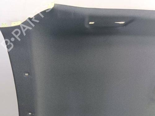 Interior roof NISSAN JUKE (F16_) 1.0 | BP28854272I12 