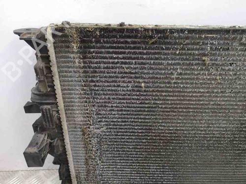 Køler FORD S-MAX (CJ, WA6) 2.0 TDCi | BP28884441M31