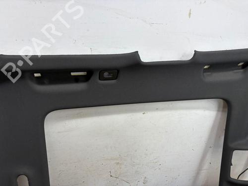 Interior roof AUDI A6 Allroad C7 (4GH, 4GJ) 3.0 TDI quattro | BP30107441I12