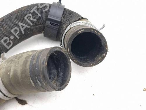 Pipe FORD FOCUS IV (HN) 1.0 EcoBoost | BP39904019M125  - Image 5