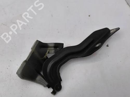 Hinge/Door check strap NISSAN QASHQAI II (J11, J11_) 1.5 dCi | BP28861935C146 