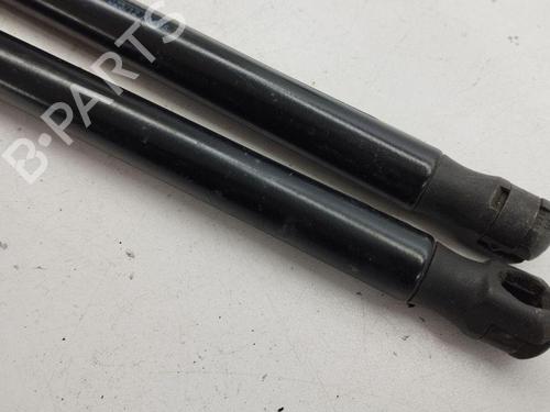 Tailgate lift support FORD KUGA I 2.0 TDCi 4x4 | BP28887913C138 