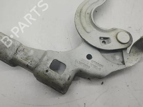 Hinge/Door check strap CITROËN DS4 (NX_) 2.0 HDi 165 | BP28845006C146 