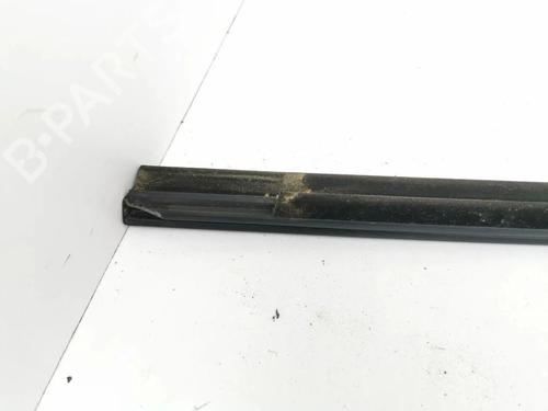 Dørliste TESLA MODEL 3 (5YJ3) EV | BP36187657C150 - Image 6