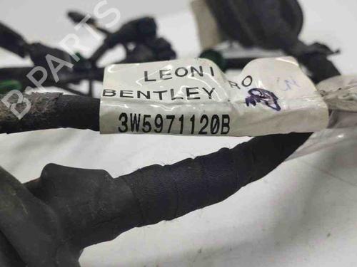 Wiring harness BENTLEY CONTINENTAL FLYING SPUR (3W_) 6.0 | BP28898552E16 