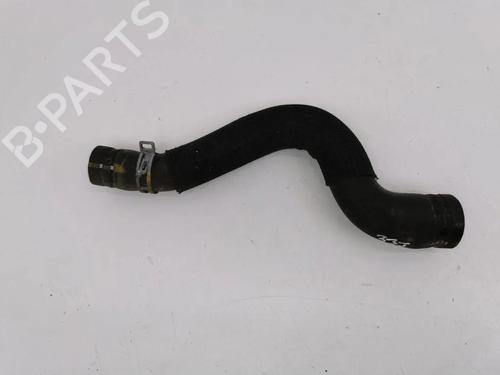 Pipe CITROËN C4 Coupe (LA_) 1.6 HDi | BP36176787M125  - Image 6