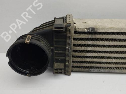 Intercooler MERCEDES-BENZ A-CLASS (W169) A 180 CDI (169.007, 169.307) | BP28902073M30 