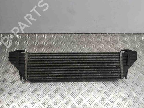 Intercooler BMW X5 (E53) 3.0 d | BP28886124M30 