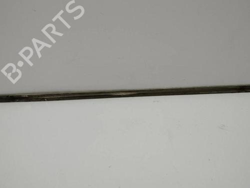 Door moulding trim BENTLEY CONTINENTAL FLYING SPUR (3W_) 6.0 | BP28898589C150 