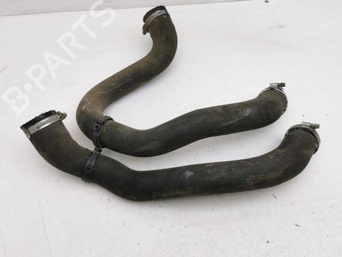 Used Pipe PEUGEOT 2008 II (UD_, US_, UY_, UJ_, UR_, UC_) 1.5 BlueHDI 110 (UDYHSK) (110 hp) 28901036
