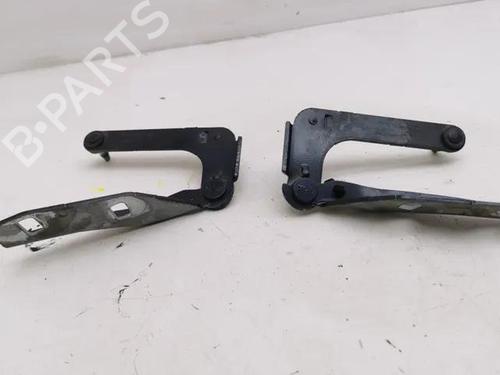 Hinge/Door check strap FORD C-MAX (DM2) 2.0 TDCi | BP28843112C146 
