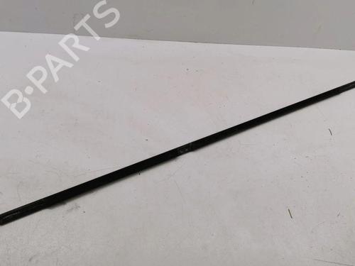 Door moulding trim BMW X5 (E53) 4.4 i | BP28897816C150 
