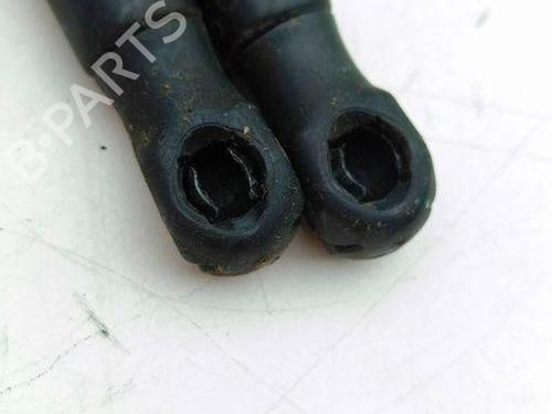 Hood lift support LAND ROVER RANGE ROVER SPORT I (L320) 2.7 D 4x4 | BP29008156C139 