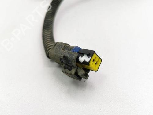Wiring harness PEUGEOT 407 Coupe (6C_) 2.0 HDi | BP28842090E16 