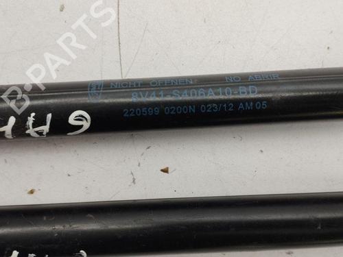 Tailgate lift support FORD KUGA I 2.0 TDCi 4x4 | BP28887913C138 