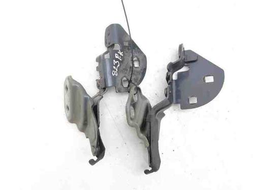 Hinge/Door check strap TESLA MODEL 3 (5YJ3) EV | BP28863931C146 