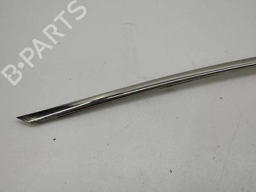 Door moulding trim BENTLEY CONTINENTAL FLYING SPUR (3W_) 6.0 | BP28898580C150 