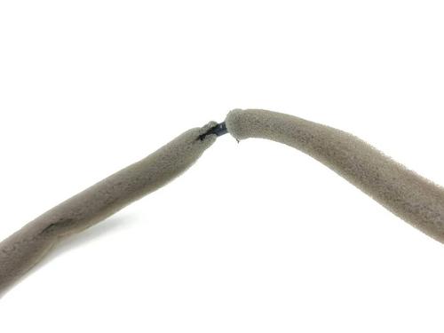 Antenne/Base HYUNDAI i30 (PDE, PD, PDEN) 1.0 T-GDI | BP33865320C140 - Image 8