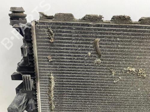 Water radiator FORD S-MAX (WA6) 2.5 ST | BP33250740M31 - Image 10