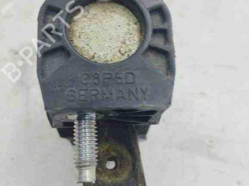 Hinge/Door check strap VOLVO V50 (545) 2.0 D | BP28886307C146 