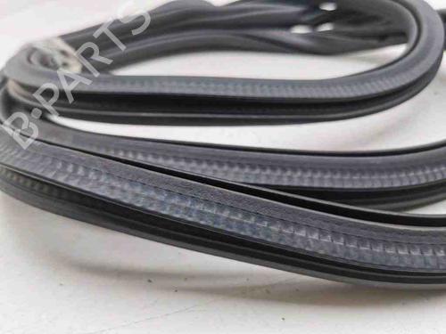 Gummiliste VW T-ROC (A11, D11) 1.0 TSI | BP28900700C142 