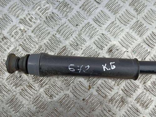 Left rear shock absorber NISSAN JUKE (F16_) 1.0 | BP28854276M18 