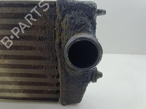 Intercooler CHRYSLER VOYAGER IV (RG, RS) 2.8 CRD | BP28895734M30