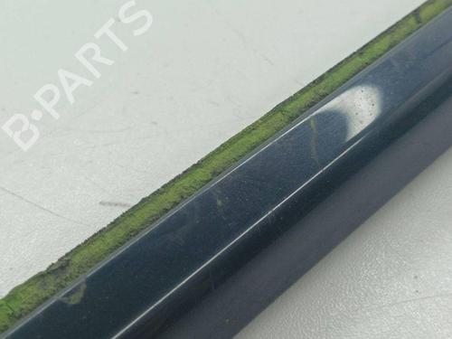 Door moulding trim BMW X5 (E70) xDrive 30 d | BP28898007C150 