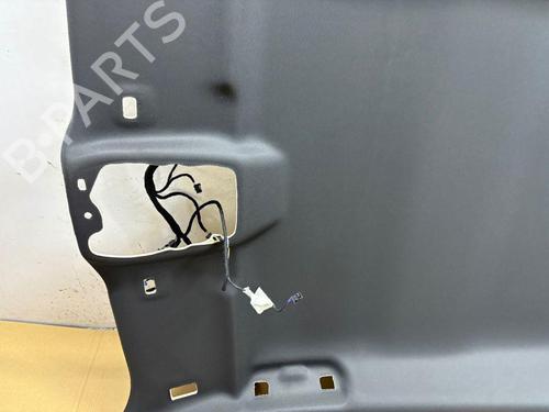Interior roof PEUGEOT 2008 II (UD_, US_, UY_, UJ_, UR_, UC_) 1.2 PureTech 130 (USHNS, URHNS) | BP29829174I12