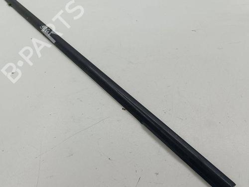 Door moulding trim NISSAN X-TRAIL II (T31) 2.0 dCi 4x4 | BP28890321C150 