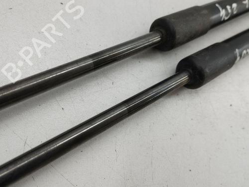 Tailgate lift support FORD KUGA I 2.0 TDCi 4x4 | BP28887913C138 