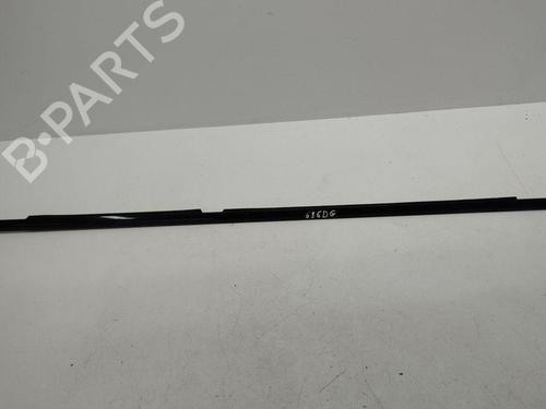 Used Door moulding trim BMW X5 (E53) 3.0 d (184 hp) 28895238