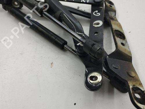 Hinge/Door check strap MASERATI QUATTROPORTE V 4.2 | BP28895927C146 