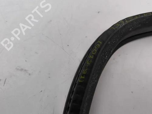 Rubber door seal NISSAN QASHQAI II (J11, J11_) 1.5 dCi | BP28861993C142 