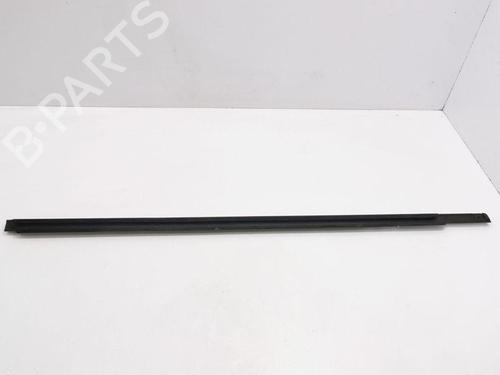 Door moulding trim MERCEDES-BENZ R-CLASS (W251, V251) R 320 CDI 4-matic (251.022, 251.122) | BP28889108C150 