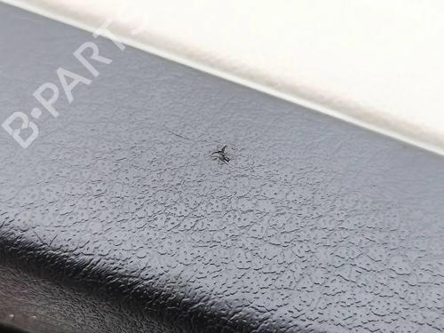 Guarnecido delantero derecho CHRYSLER GRAND VOYAGER V (RT) 3.8 | BP30692680C59