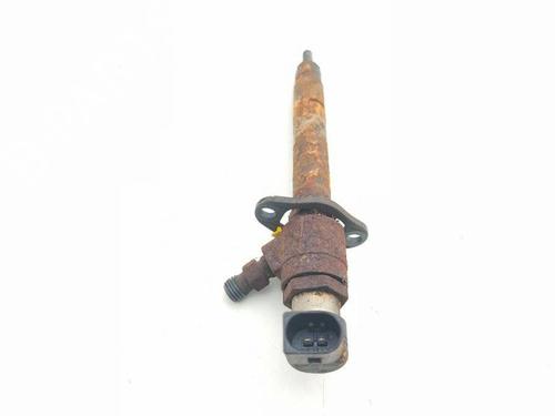 Injector LAND ROVER RANGE ROVER SPORT I (L320) 2.7 D 4x4 | BP29008286M100 