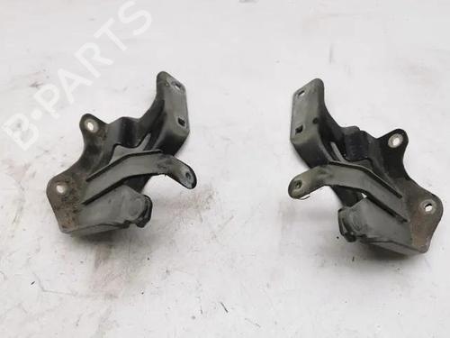 Hinge/Door check strap OPEL ANTARA A (L07) 2.2 CDTi 4x4 | BP28846595C146 