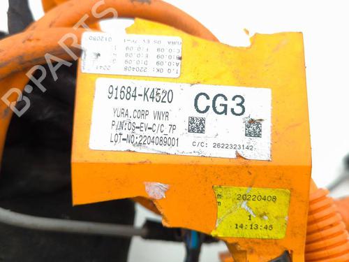Ledningsnett HYUNDAI KONA (OS, OSE, OSI) EV | BP29878791E16