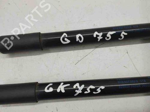 Tailgate lift support VW GOLF VIII (CD1, DA1) 1.0 TSI | BP28898316C138